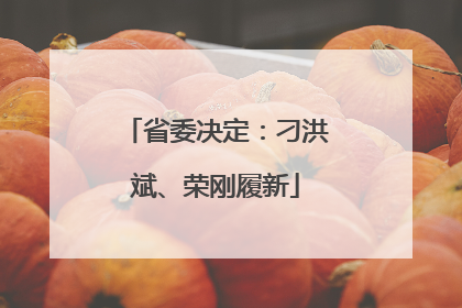 省委决定：刁洪斌、荣刚履新